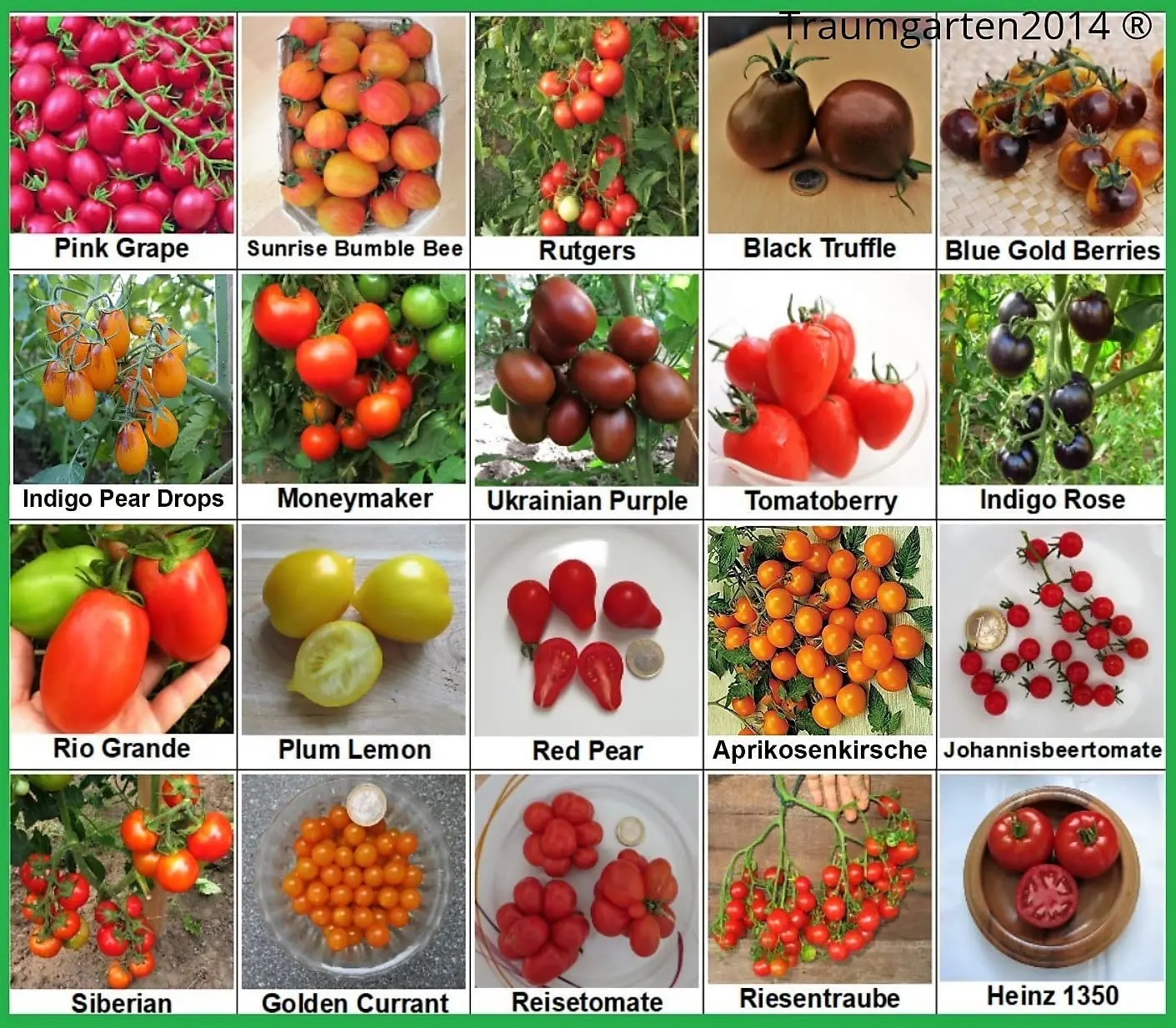 Varieties of tomatoes of Siberian selection with photos and descriptions