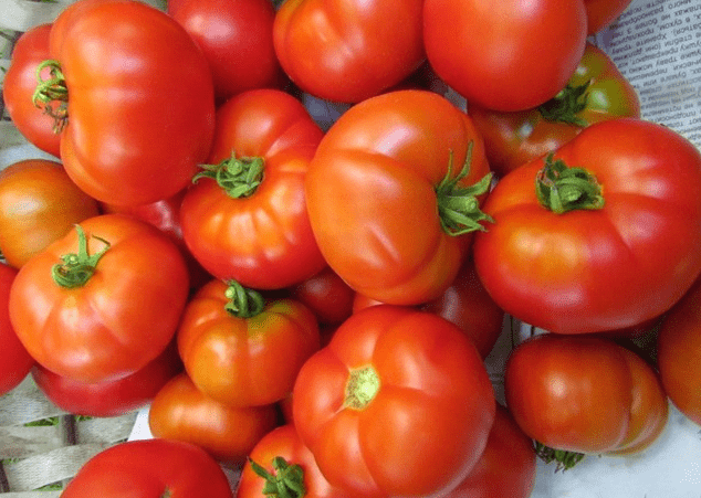 Varieties of tomatoes that do not require pinching