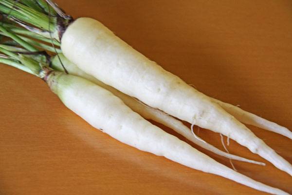 Varieties of white carrots