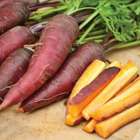 Varieties of white carrots