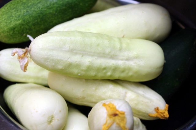 Varieties of white cucumbers