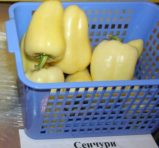 Varieties of white peppers