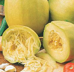 Varieties of yellow zucchini