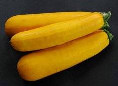 Varieties of yellow zucchini