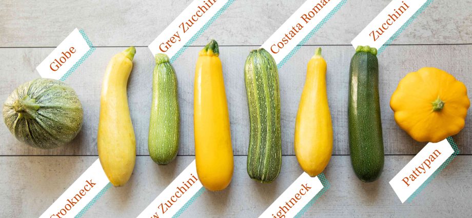 Varieties of yellow zucchini