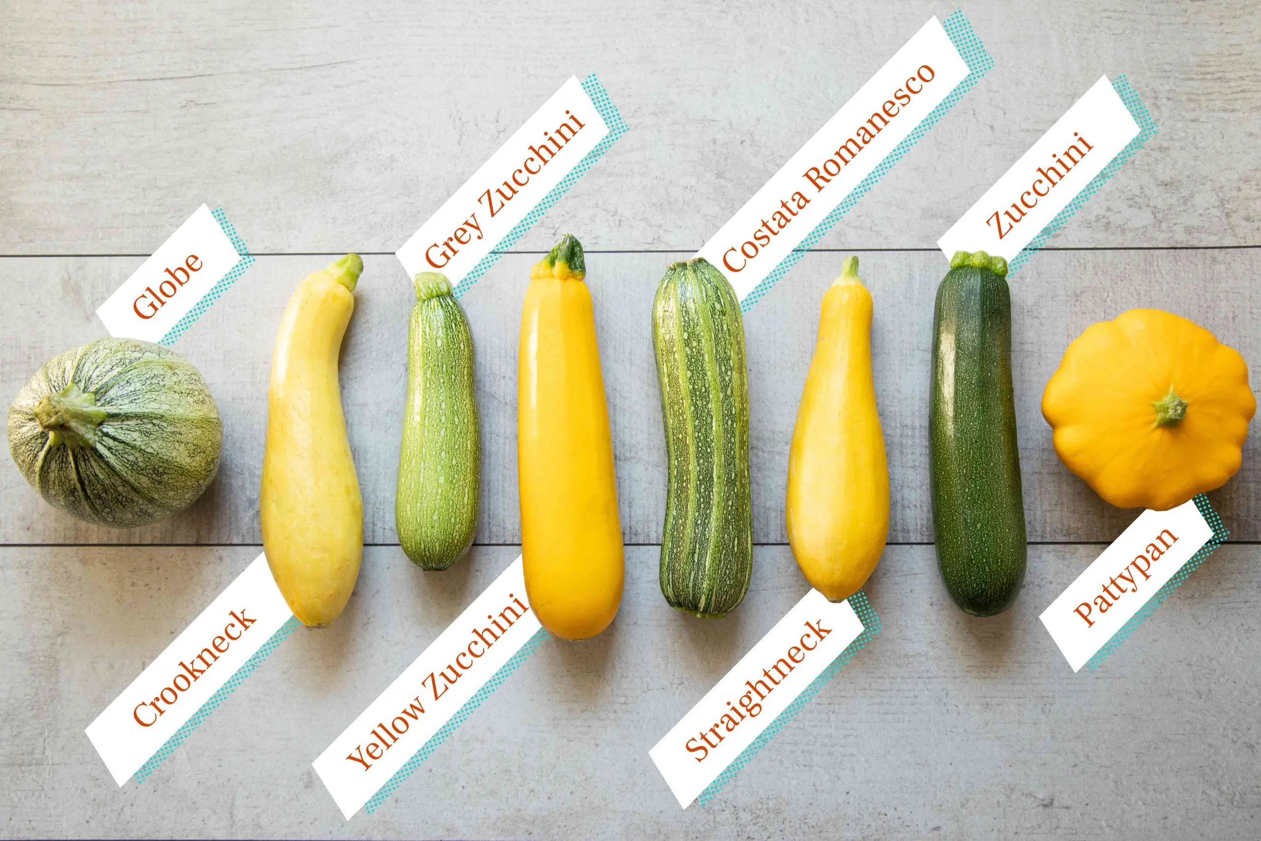 Varieties of yellow zucchini