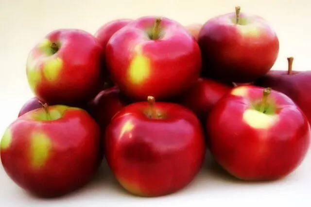 Variety of apples Enterprise: photo and description, reviews