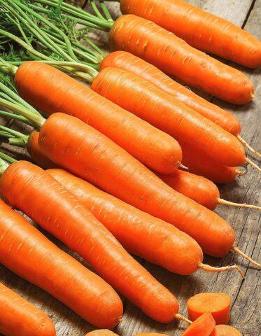 Variety of carrots Sankina love: description, photos and reviews