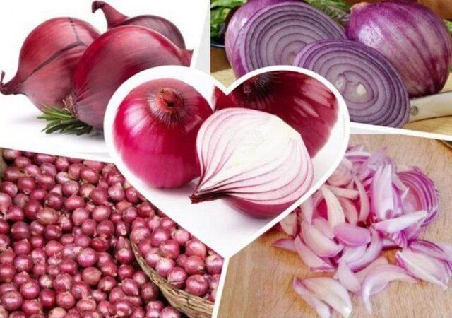 Variety of onion sets Rosanna (Rossana): characteristics, description, reviews