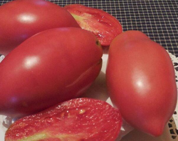 Variety of tomatoes Donkey ears: description and reviews