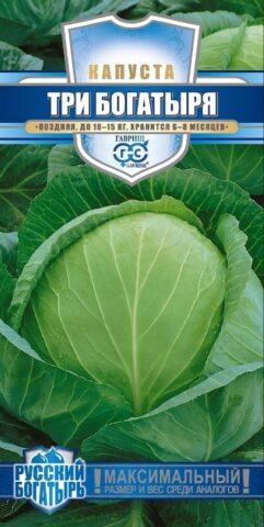 Variety of white cabbage Three heroes: photo with description, reviews