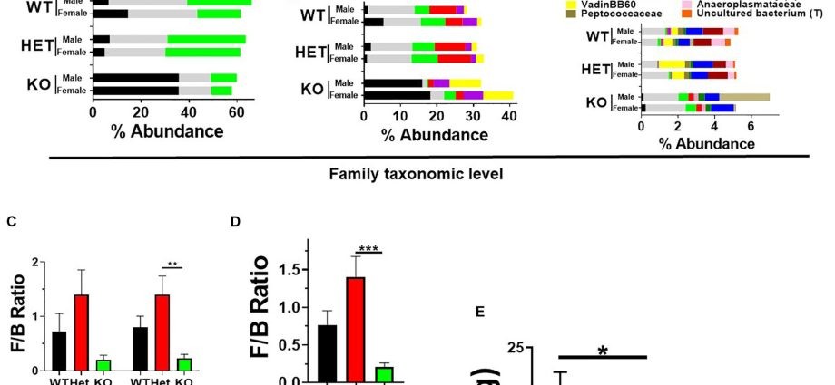 Vasoactive intestinal polypeptide (VIP) &#8211; when to test, norms