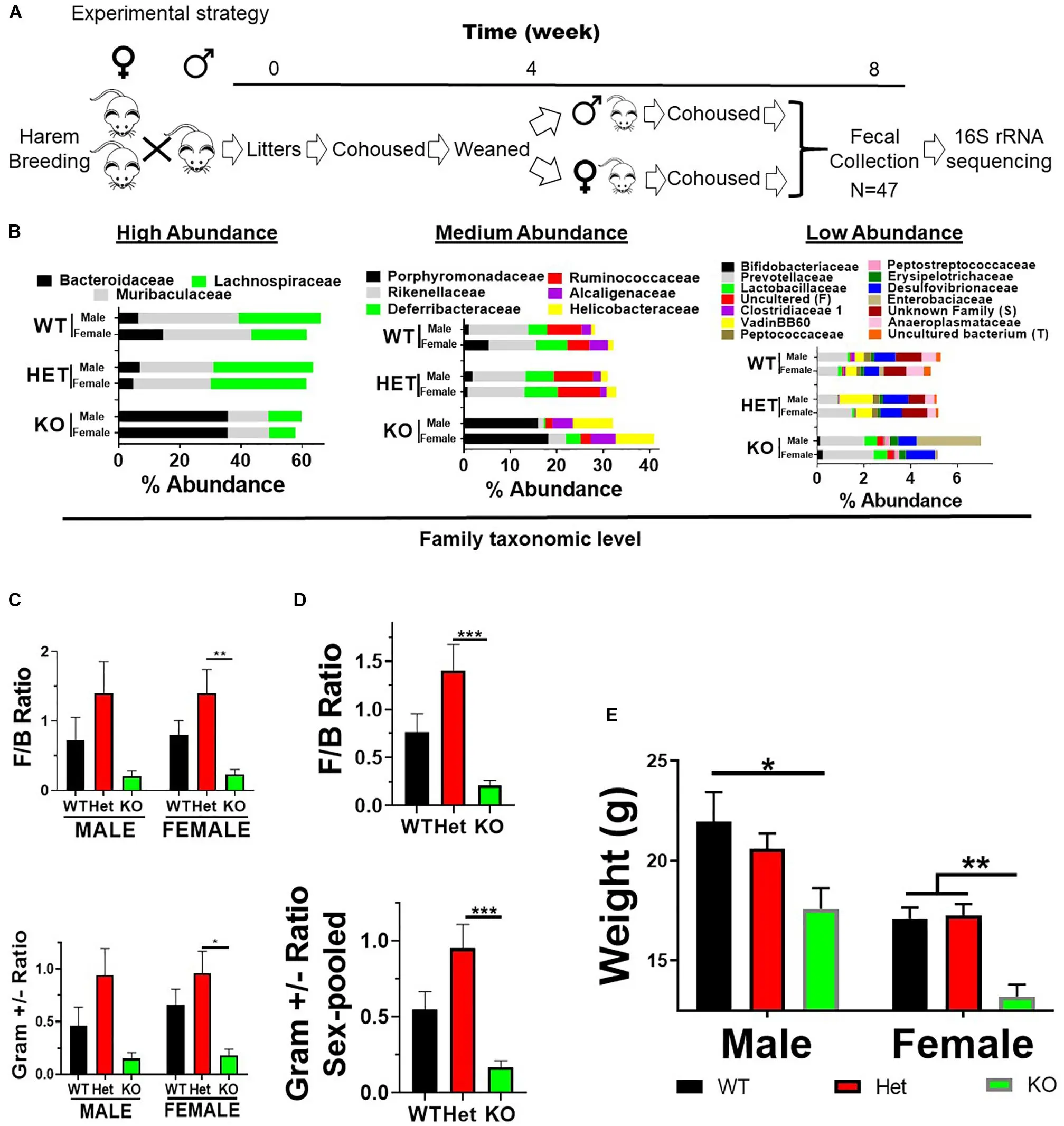 Vasoactive intestinal polypeptide (VIP) &#8211; when to test, norms