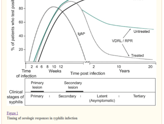 VDRL &#8211; indications, course of the test, interpretation of results. Prophylactic examination for syphilis