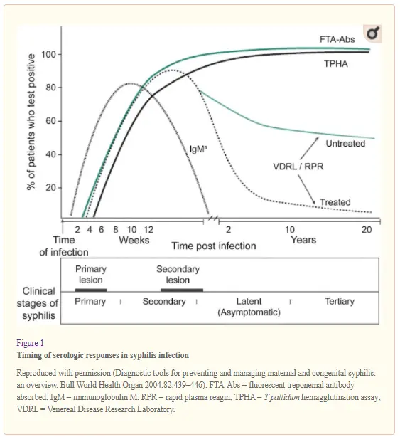 VDRL &#8211; indications, course of the test, interpretation of results. Prophylactic examination for syphilis