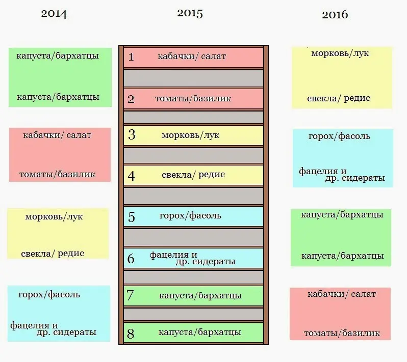 Vegetable crop rotation table in the garden