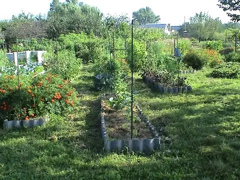 Vegetable crop rotation table in the garden