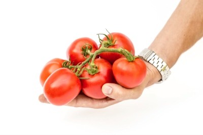 Velikosvetsky tomato: reviews, photos, yield