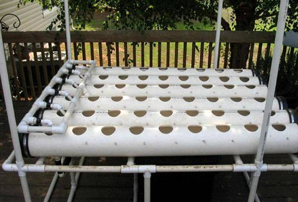 Vertical bed for strawberries from a pipe