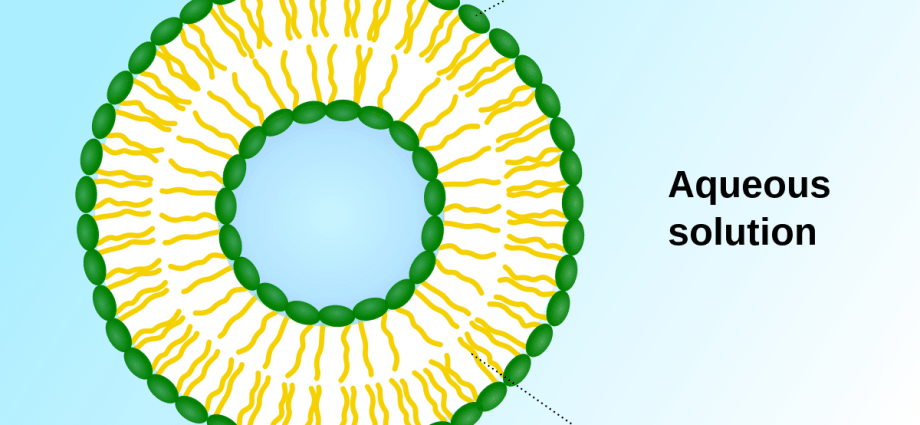 Vesicle Kalinolistny Luteus: photo and description