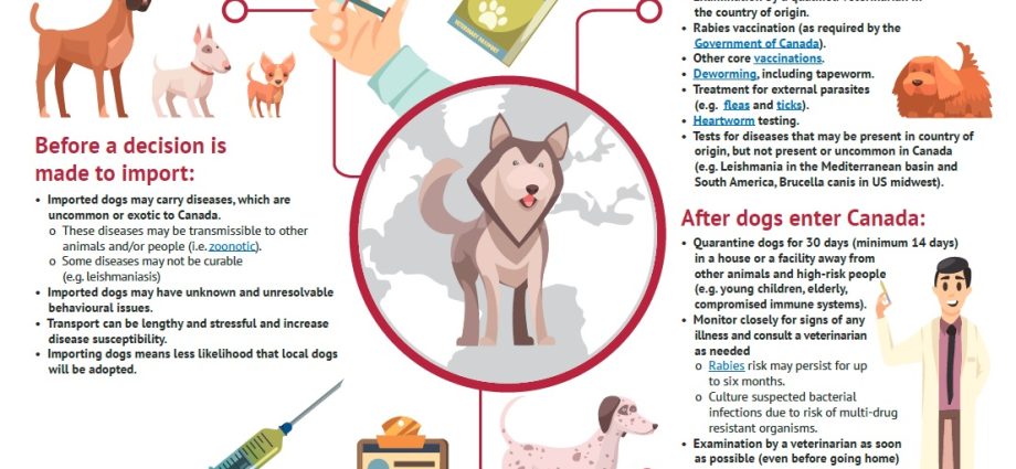 Veterinary rules for animal rabies