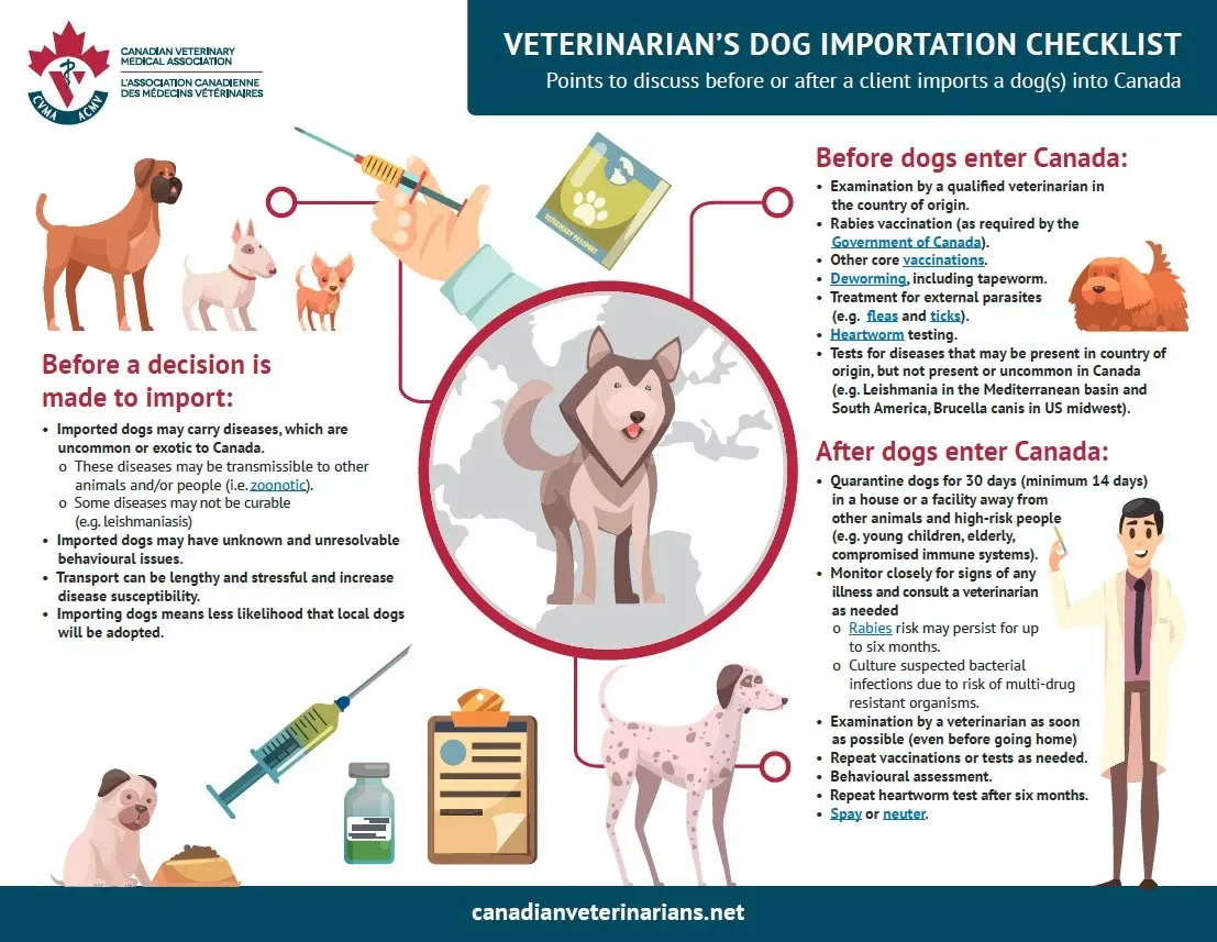 Veterinary rules for animal rabies