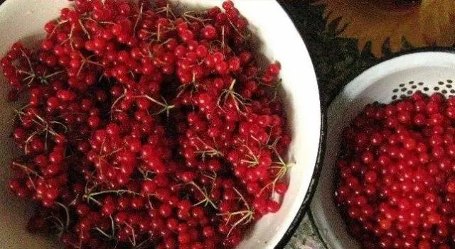 Viburnum jam for the winter: simple recipes