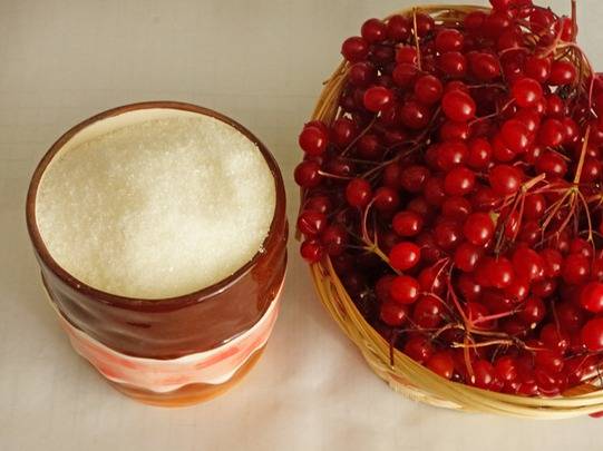 Viburnum jam for the winter: simple recipes