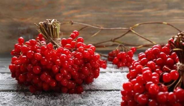 Viburnum mashed with sugar