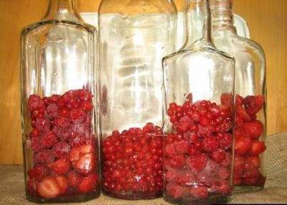 Viburnum tincture on vodka: recipe