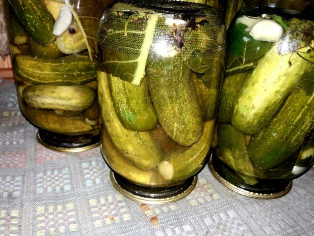 Villainous and crispy cucumbers with vodka: pickling and pickling recipes