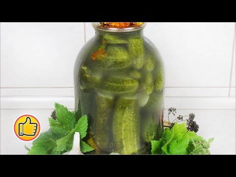 Villainous and crispy cucumbers with vodka: pickling and pickling recipes