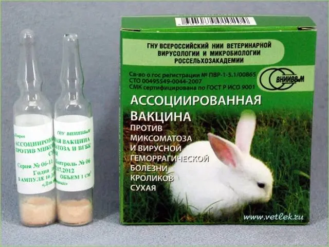 Viral hemorrhagic disease of rabbits