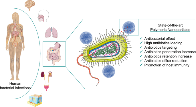 Viruses, nanosilver and new polymers will kill bacteria from endoprostheses