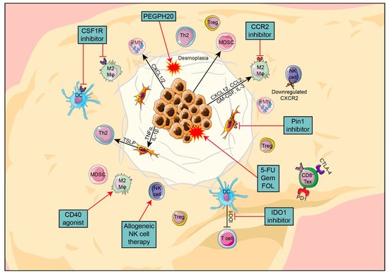 Vitamin A can help treat pancreatic cancer &#8211; one of the most dangerous cancers