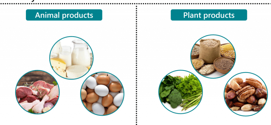 Vitamin B2 &#8211; functions, deficiency, excess, dietary sources