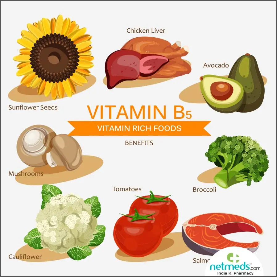 Vitamin B5 &#8211; properties, deficiency symptoms, dietary sources