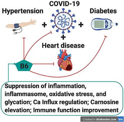 Vitamin B6 against COVID-19? May protect against the cytokine storm that can cause death