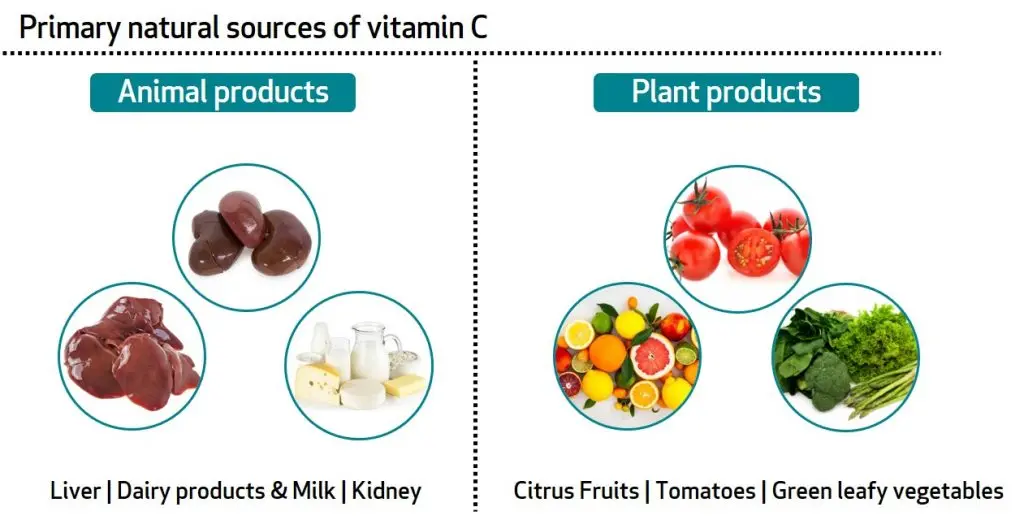 Vitamin C for children &#8211; properties, dosage, natural sources