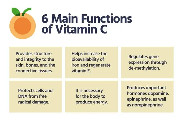 vitamin-c-importance-in-the-body-and-the-effects-of-deficiency