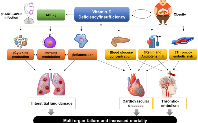 Vitamin D Deficiency Increases COVID-19 Risk? A disturbing study