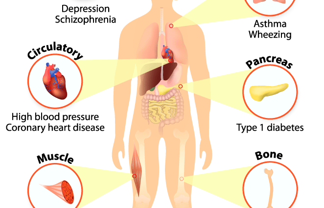 Vitamin D deficiency slowly exhausts the body. Here are the most common symptoms