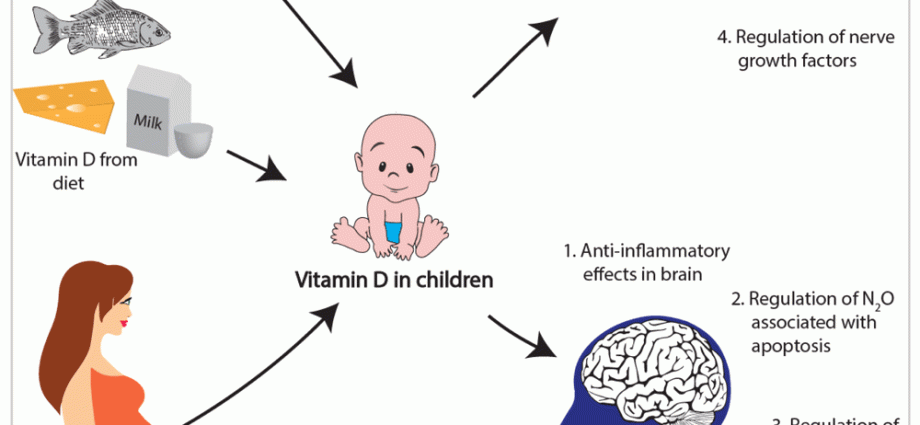 Vitamin D in the development of newborns