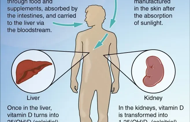 Vitamin D &#8211; what is the risk of its deficiency? [WE EXPLAIN]