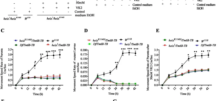 Vitamin K may protect against lymphoma