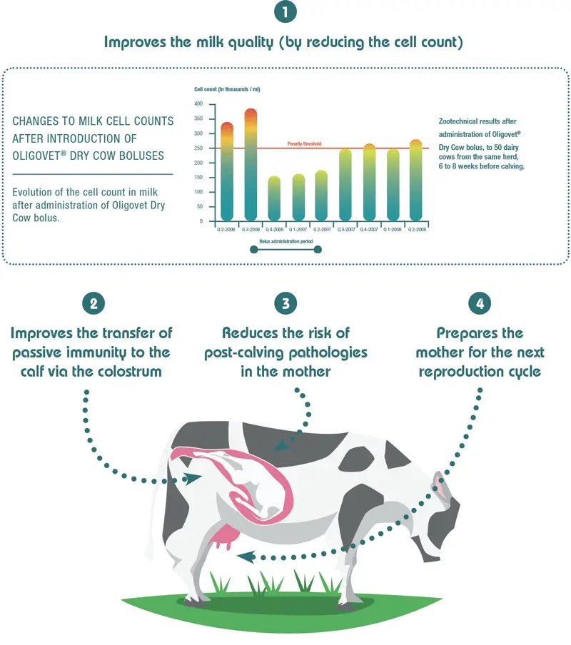 Vitamins for cows before and after calving