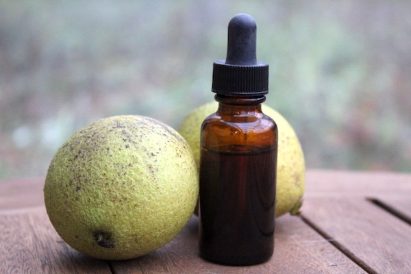 Walnut peel and shell tincture