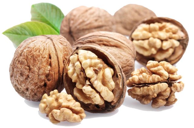 Walnuts improve sperm quality