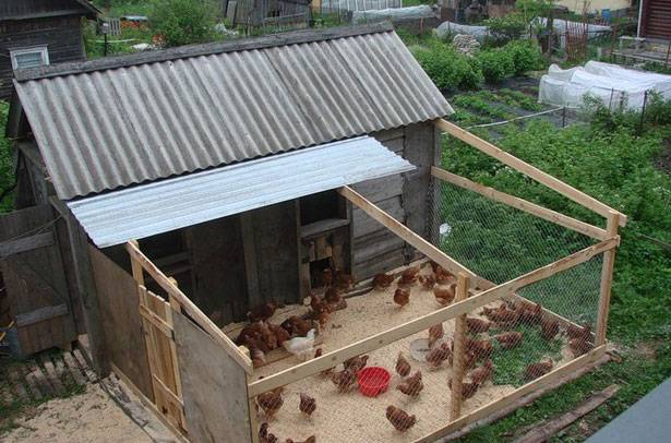 Warm chicken coop with your own hands 