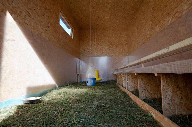 Warm chicken coop with your own hands 